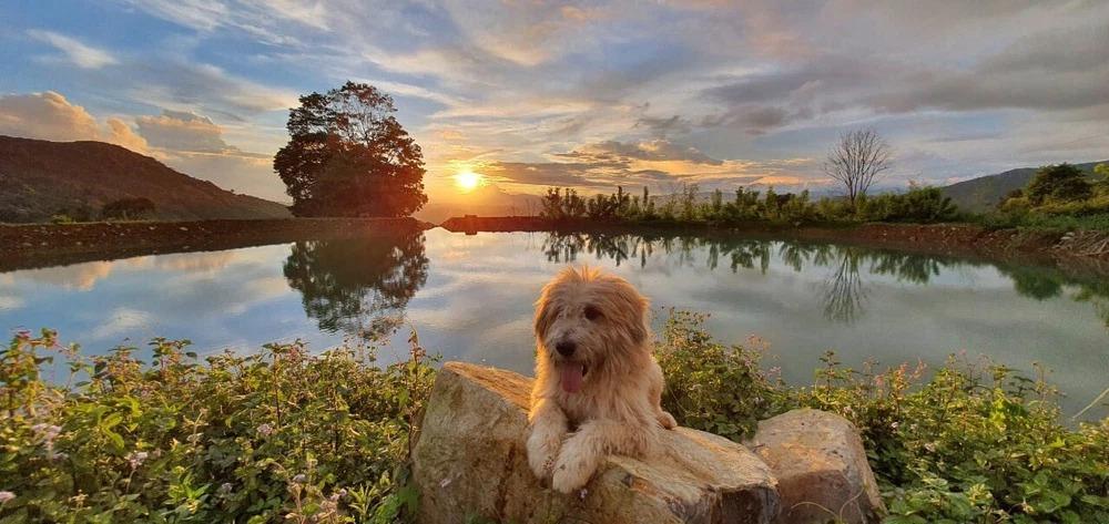 Cô gái 27 tuổi nghỉ hưu với 100 triệu, lang thang khắp nơi, sống tối giản-2