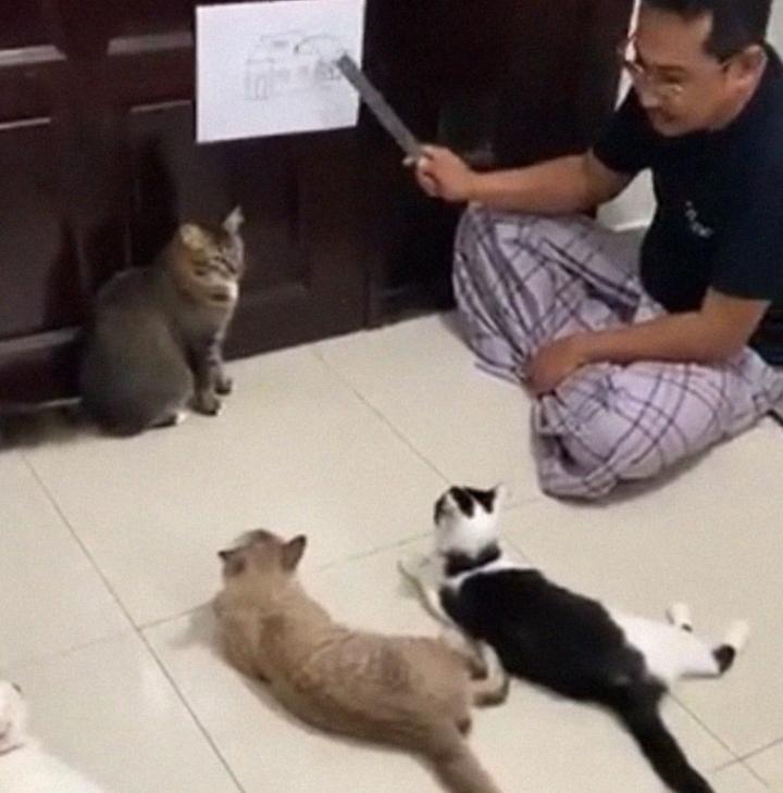 Loạt trò điên rồ mà những con người rảnh quá mà ra-1