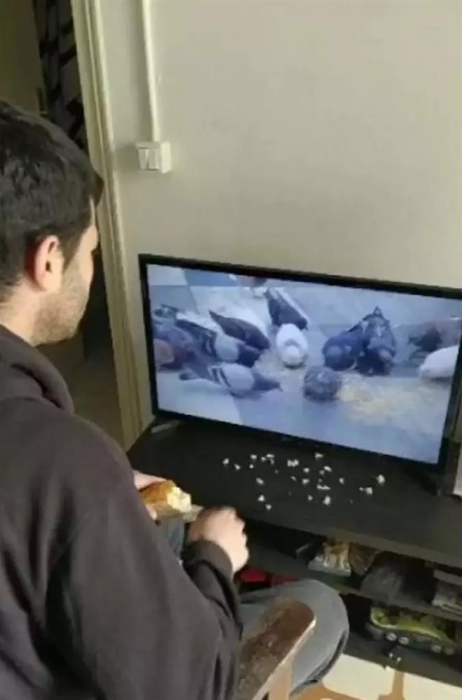 Loạt trò điên rồ mà những con người rảnh quá mà ra-5