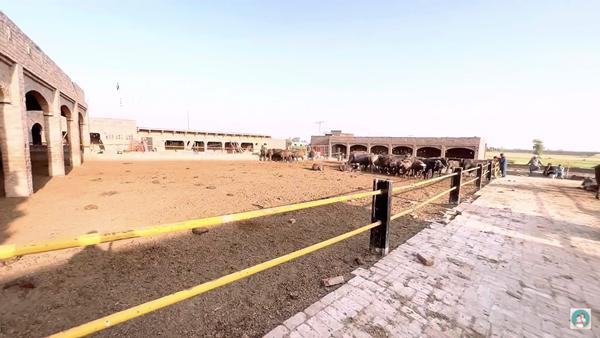 Mẹ Việt làm dâu Pakistan khoe nhà chồng 2 biệt thự, trang trại khổng lồ-5