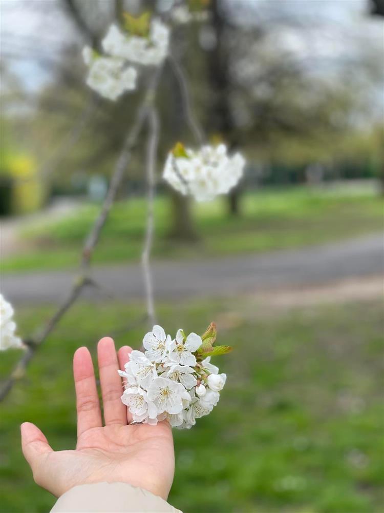 Sao Việt lo lắng khi Lê Thúy phải nhập viện tại Hà Nội-4