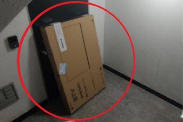 Xấu xí hình ảnh bố mẹ vượt rào, bế con trèo lên lưng rùa sống ảo-4