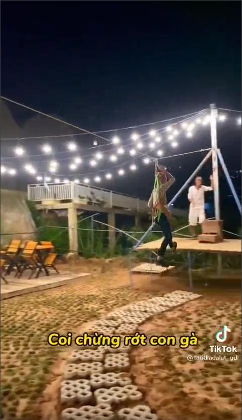 Quán ăn phục vụ món gà bay, bay chưa đến nơi gà đã văng khỏi đĩa-3