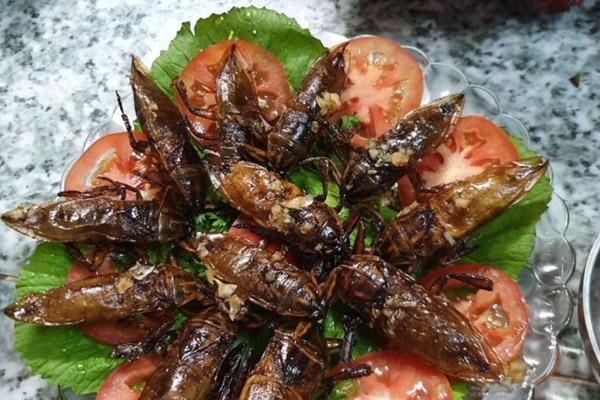 Cà pháo muối chung với một thứ, ăn ngon gấp mấy lần cách thường-8