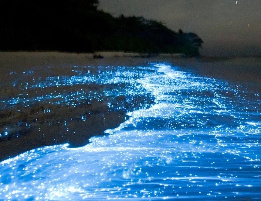 The Sea Of Stars, Maldives: Bãi biển bừng sáng trong đêm được tạo ra bởi thực vật phù du có khả năng phát quang sinh học Lingulodinium polyedrum, diễn ra ở bãi biển The Sea Of Stars, Maldives vào những tháng cuối mùa hè. Sinh vật này có rất nhiều trong nước và sự chuyển động của sóng khiến chúng phát sáng, tạo ra hiệu ứng lung linh như biển đầy sao. Du khách và người dân địa phương vẫn có thể bơi an toàn trong điều kiện lạ thường này. Ảnh: Refinery29.