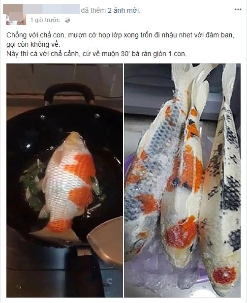 Chồng nghẹn họng với món cá rán tiền tỷ: Đừng dại chọc điên nóc nhà-3