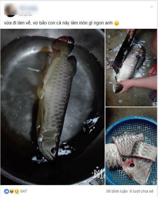 Chồng nghẹn họng với món cá rán tiền tỷ: Đừng dại chọc điên nóc nhà-5