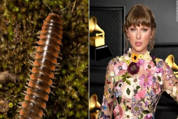 Ca sĩ Taylor Swift được trao bằng tiến sĩ-3