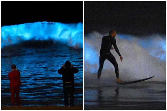 Vùng biển có thủy triều phát sáng màu xanh, ai nhìn cũng khó tin