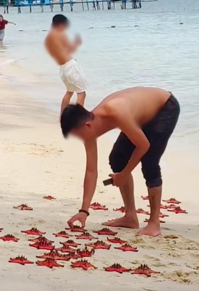 Người đàn ông thản nhiên xếp sao biển lên bờ chụp ảnh ở Phú Quốc-3