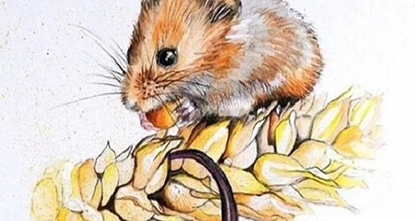 Thần Tài độ 3 con giáp tài lộc nhân đôi, ôm tài sản khủng năm 2023-1