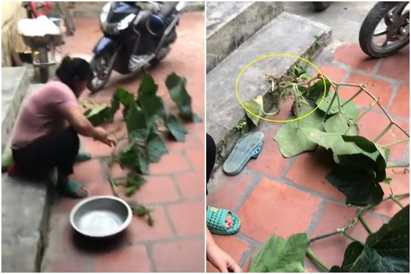 Cảnh bê mâm cơm khiến nhiều dân mạng phải toát mồ hôi hột-2