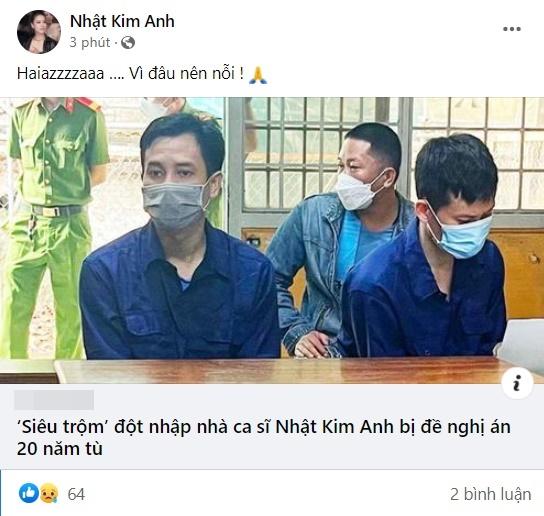 Nhat Kim Anh's reaction when a thief of nearly 5 billion faces 20 years in prison-3