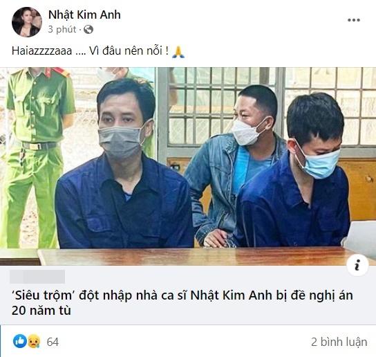 Kẻ khoắng 5 tỷ trong nhà Nhật Kim Anh đối mặt 20 năm tù-3