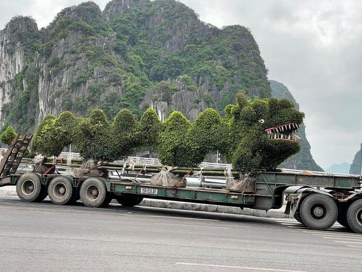 New Dragon in Quang Ninh: Pikalong Hai Phong is not an opponent yet-3