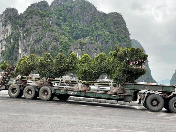 Rồng mới ở Quảng Ninh: Pikalong Hải Phòng chưa phải đối thủ-3