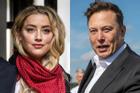 Amber Heard vờ yêu tỷ phú Elon Musk chỉ để 'lấp khoảng trống'