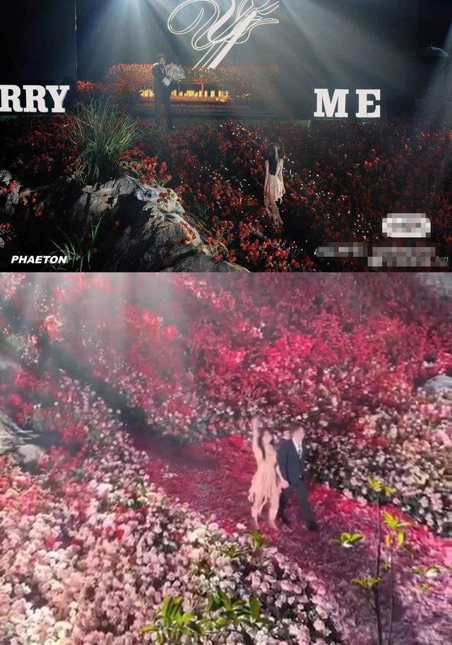 Chàng trai mua 50.000 bông hoa, đặt nhẫn Angela Baby cầu hôn bồ-2