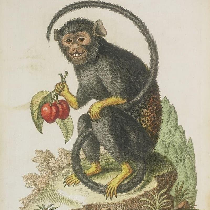 Tử vi hàng ngày 12 con giáp Chủ Nhật 1/5/2022: Lận đận tình duyên-3