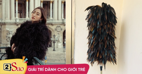 Luong Thuy Linh and Hoang Thuy Linh are compared to feather brooms
