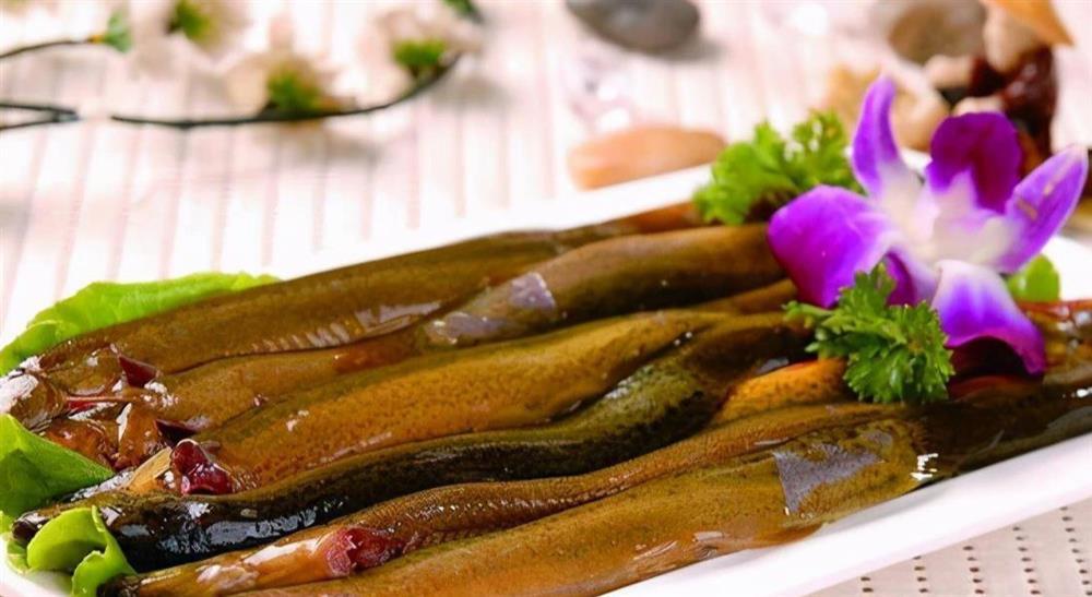 Loại cá tựa nhân sâm, phụ nữ ăn đẹp da bổ tạng, không sợ thiếu máu-1