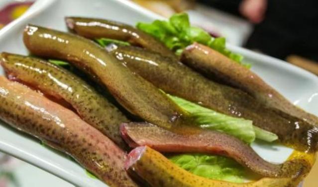 Loại cá tựa nhân sâm, phụ nữ ăn đẹp da bổ tạng, không sợ thiếu máu-3