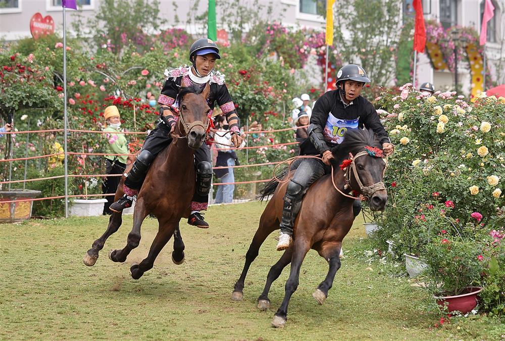 Horses hooves in the clouds - the show of talent of talented horsemen in the Northwest-3