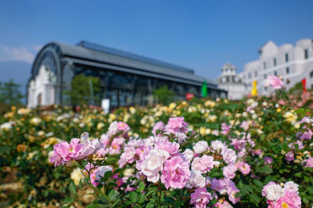 Vó ngựa trên mây - cuộc khoe tài của những kỵ sỹ tài ba miền Tây Bắc-4