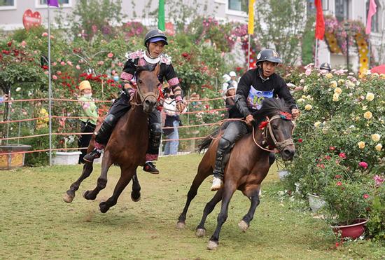 Vó ngựa trên mây - cuộc khoe tài của những kỵ sỹ tài ba miền Tây Bắc