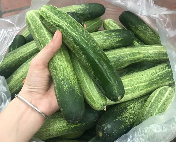 4 thực phẩm quen thuộc chống sốc nhiệt mùa hè nên ăn thường xuyên-1