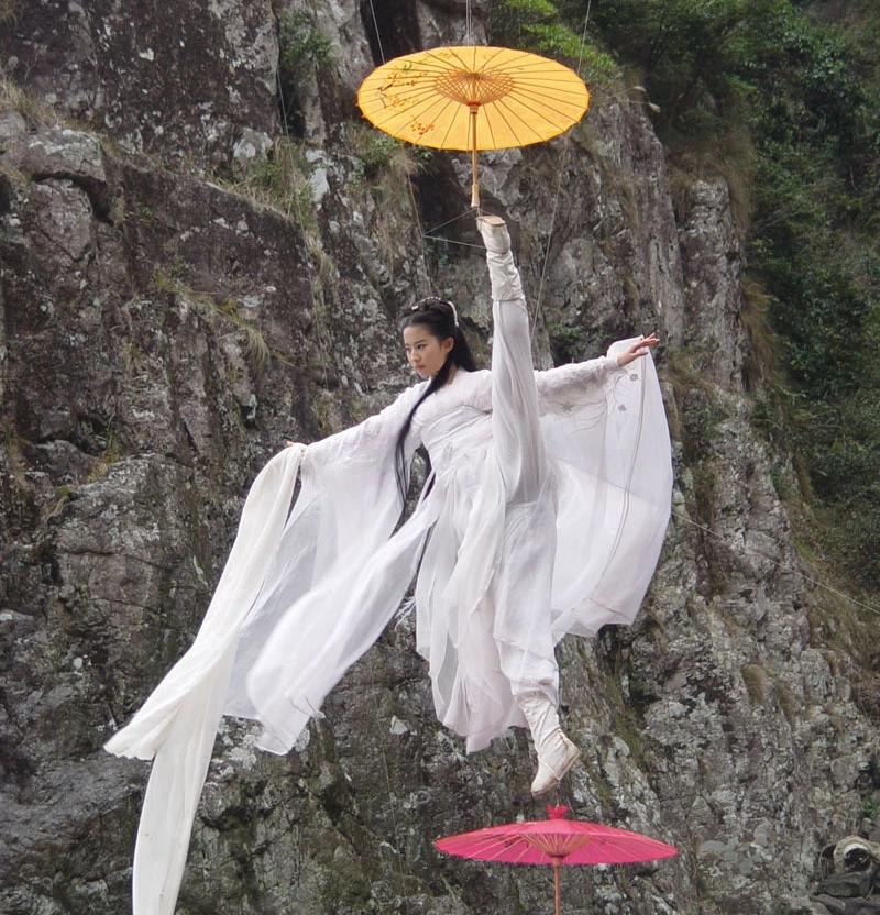 Võ thuật Trung Quốc trên màn ảnh xưa và nay-2