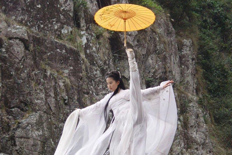 Chinese martial arts on screen past and present