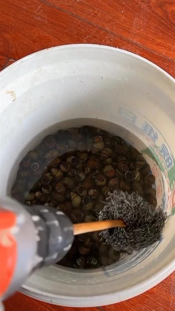 Thanh niên rửa ốc kiểu mới, dân mạng cười xỉu thấy ốc say như điên-1