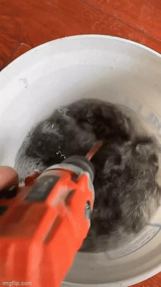 Thanh niên rửa ốc kiểu mới, dân mạng cười xỉu thấy ốc say như điên-2