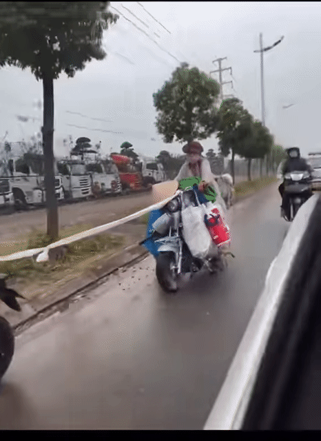 Thánh quỵt Bella lừa được trai trẻ kéo xe suốt dọc đường-3