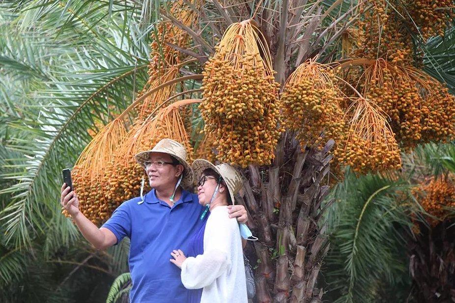 Tết đến miền Tây thăm nhà cổ được xưng tụng là cửu đại mỹ gia-9