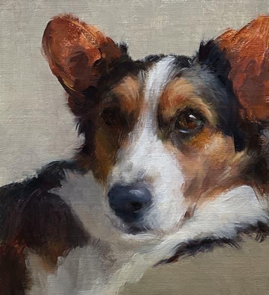 3 con giáp thông minh hết phần thiên hạ, làm đâu thắng đó-2