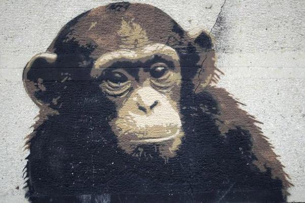 Tử vi hàng ngày 12 con giáp thứ Năm 5/5/2022: Sửu quá ích kỷ-5