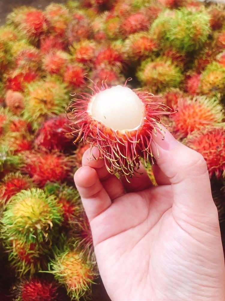 7 loại quả tuyệt đối không ăn nhiều mùa hè kẻo gây hại sức khỏe-1