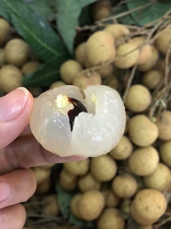 7 loại quả tuyệt đối không ăn nhiều mùa hè kẻo gây hại sức khỏe-3