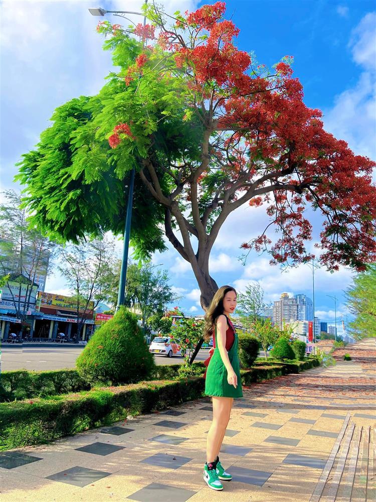 Cây phượng xanh chín hot nhất MXH: Thân Vũng Tàu, hồn Hải Phòng-5