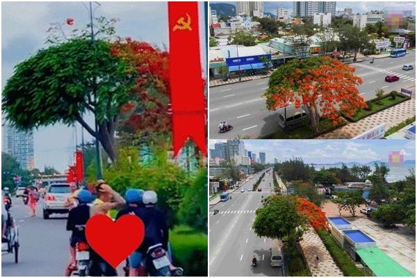 Món quà của biển ‘đắt như vàng’ ở Hải Phòng, ai muốn thử phải bỏ tiền triệu-8