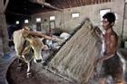 Người Indonesia dùng bò làm nên món 'mì bẩn' trứ danh