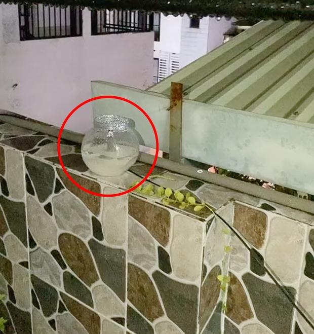 Mang đường ra phơi nắng đuổi kiến, chàng trai nhận cái kết rớt nước mắt-1