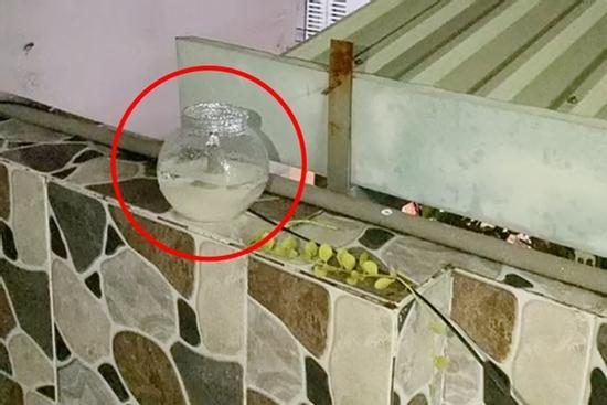 Mang đường ra phơi nắng đuổi kiến, chàng trai nhận cái kết rớt nước mắt