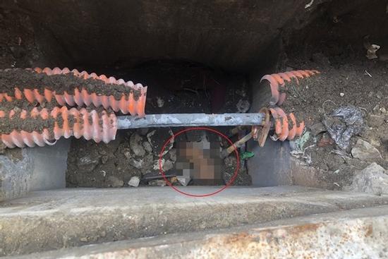 Thi thể đứt lìa cánh tay trong cống nước chợ Hàn - Đà Nẵng là ai?