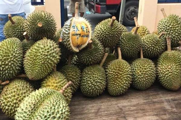 5 secrets to choose soft, sweet durian, thick rice, not shy