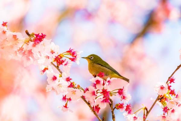 Ai sinh ngày Âm lịch này tính cách ngông cuồng, thành công đến sớm-5