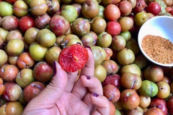 Đầu hàng những thể dạng mọc quả sai trái, muốn ăn mà bực phát điên-10