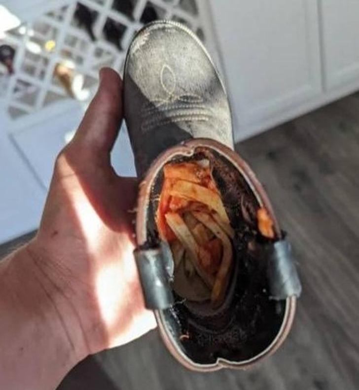 Bận tối mặt cũng chưa mệt bằng đối mặt với loạt trò quậy của lũ trẻ-1